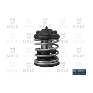 TER470 AKRON-MALO