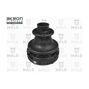 191471 AKRON-MALO