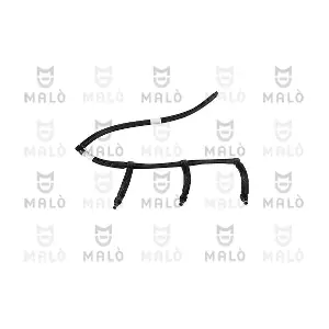 19083AK AKRON-MALO