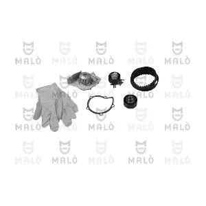 1555008 AKRON-MALO