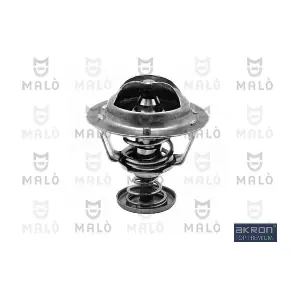TER419 AKRON-MALO