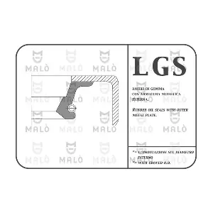 13156 AKRON-MALO
