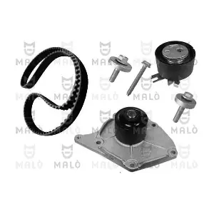 1555009 AKRON-MALO