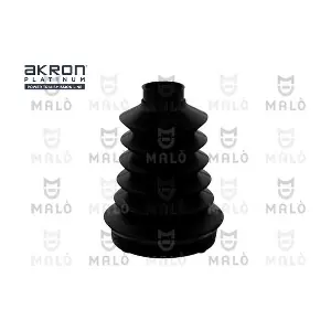 243581 AKRON-MALO