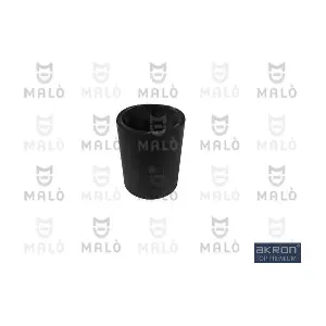 302821 AKRON-MALO