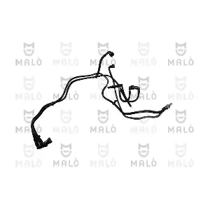 190831AK AKRON-MALO
