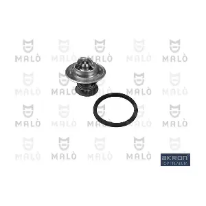 TER301 AKRON-MALO