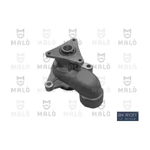 130393 AKRON-MALO