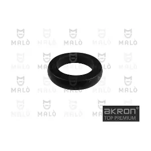 32622 AKRON-MALO