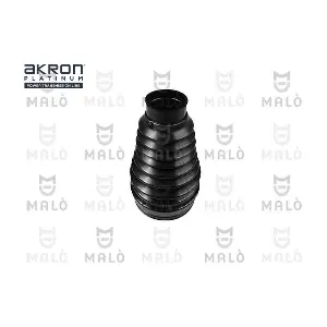 243551 AKRON-MALO