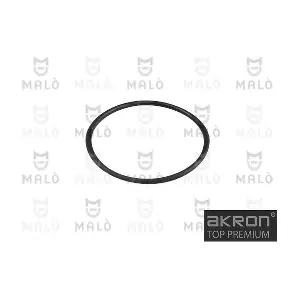 3071 AKRON-MALO