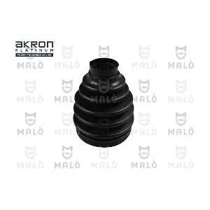 241981 AKRON-MALO