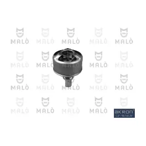 TER213 AKRON-MALO