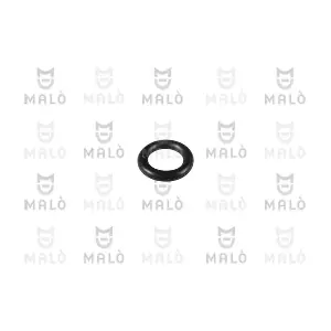 2032 AKRON-MALO