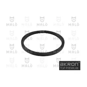 3239 AKRON-MALO