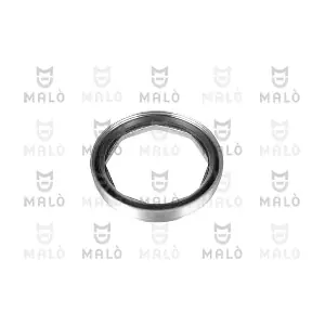 3948 AKRON-MALO