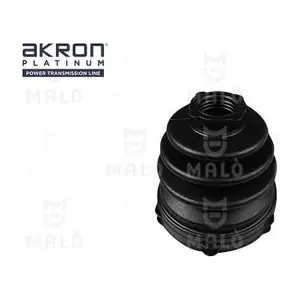 231381 AKRON-MALO