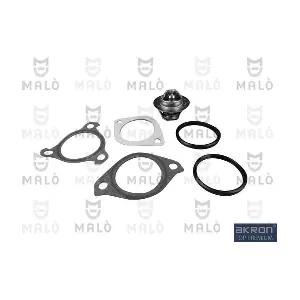 TER306 AKRON-MALO