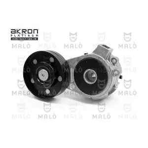 11657 BERTOLOTTI