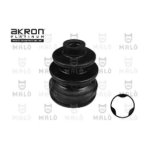 52091 AKRON-MALO