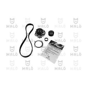 15550051 AKRON-MALO