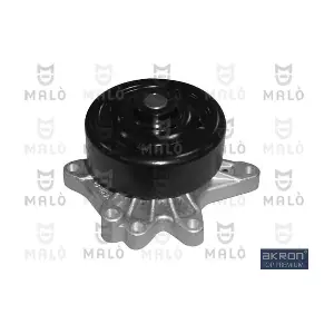AKRON-MALO 130303