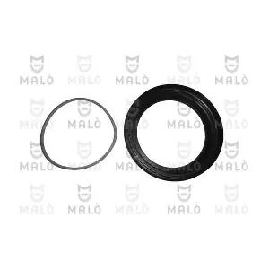 136020 AKRON-MALO