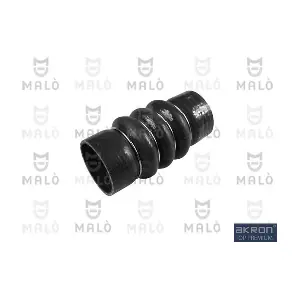 30095SIL AKRON-MALO
