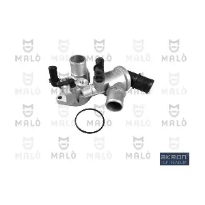 TER207 AKRON-MALO