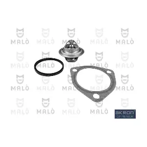 TER307 AKRON-MALO