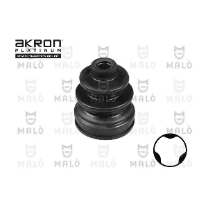 520051 AKRON-MALO