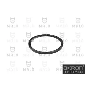 3229 AKRON-MALO