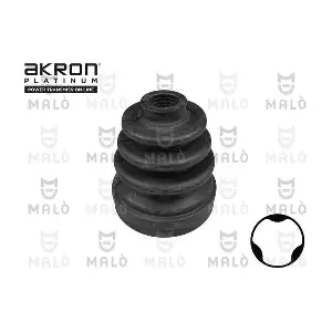 52019 AKRON-MALO