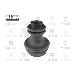 19556 AKRON-MALO