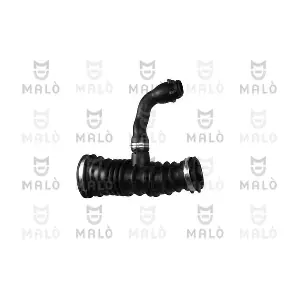 231891 AKRON-MALO