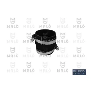 30302 AKRON-MALO