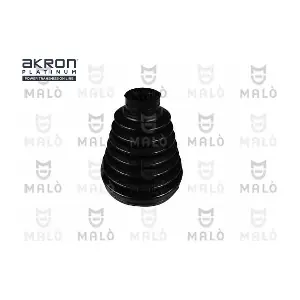 243571 AKRON-MALO