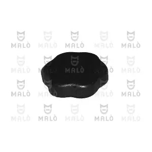 134017 AKRON-MALO