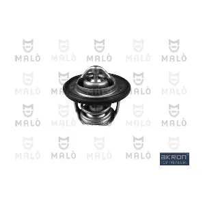 TER133 AKRON-MALO