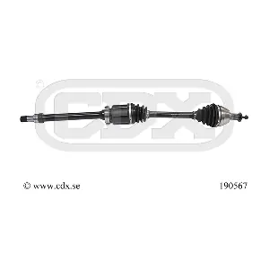 190567 CDX