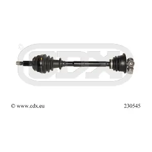 230545 CDX