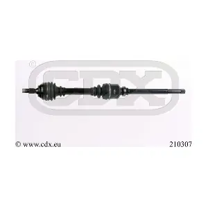 210307 CDX