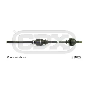 210429 CDX