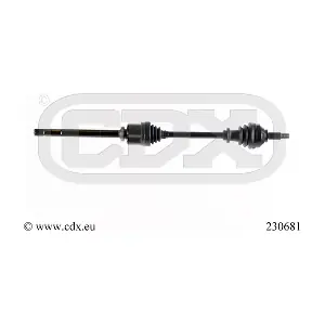 230681 CDX