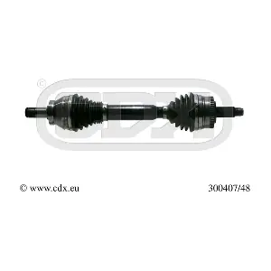 300407/48 CDX