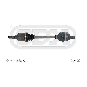CDX 110420
