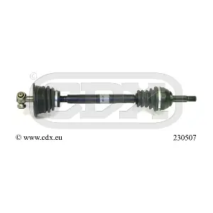 230507 CDX