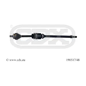 190517/48 CDX