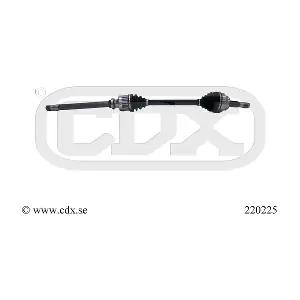 220225 CDX