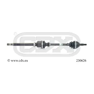 230626 CDX